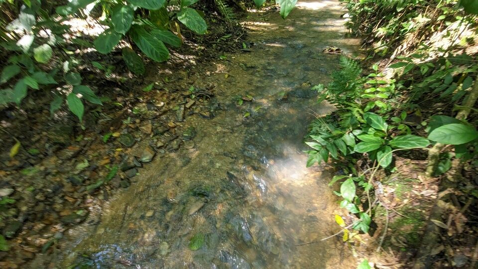 Chácara, 2 quartos, 4 hectares - Foto 18