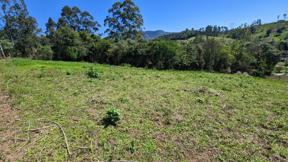 Chácara, 2 quartos, 4 hectares - Foto 10