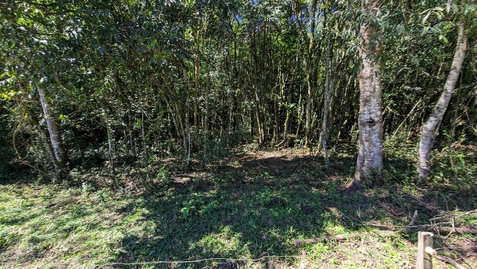 Chácara, 2 quartos, 4 hectares - Foto 16