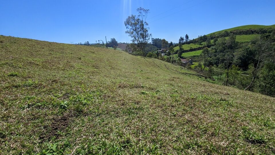 Chácara, 2 quartos, 4 hectares - Foto 15