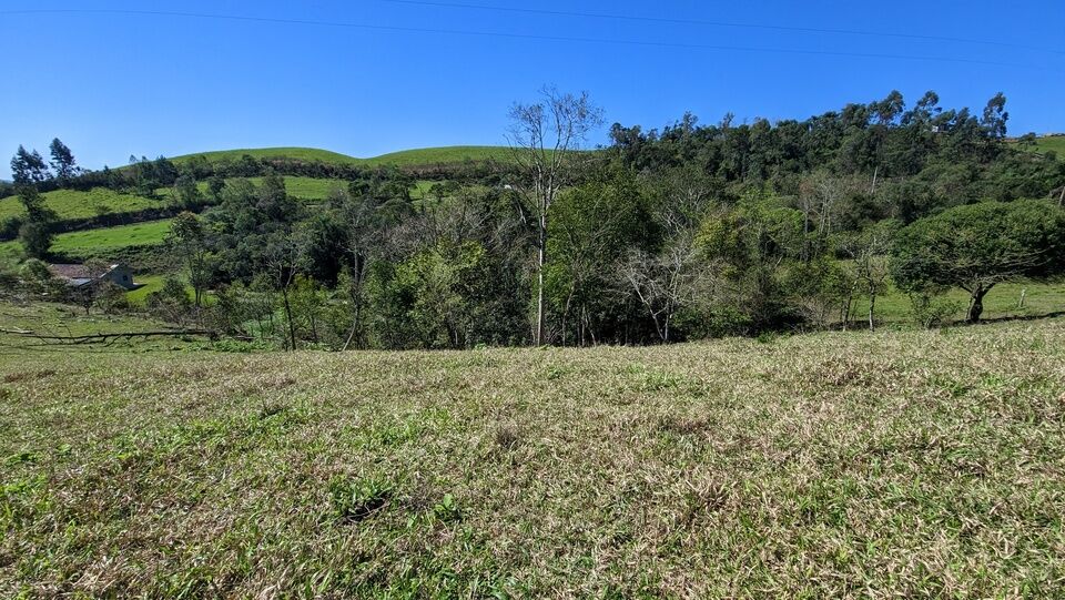 Chácara, 2 quartos, 4 hectares - Foto 14