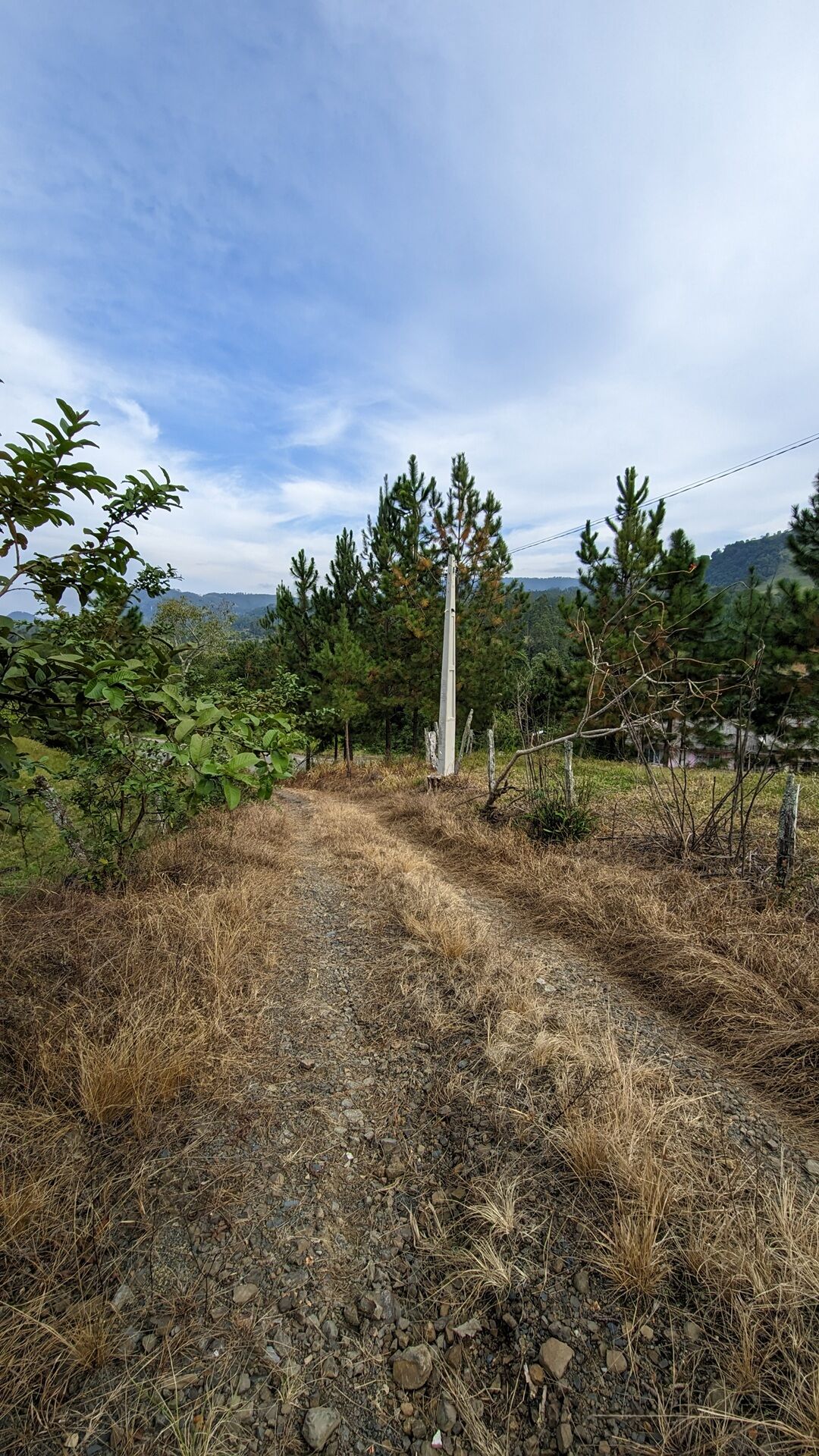 Sítio, 12 hectares - Foto 5