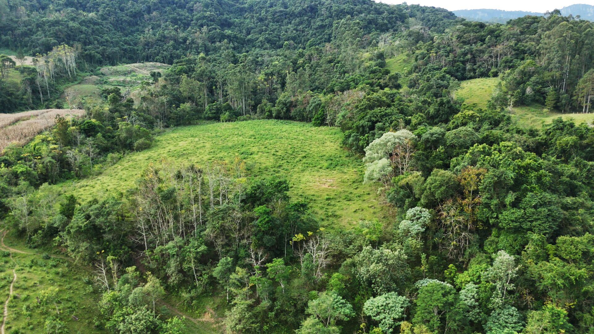 Sítio, 12 hectares - Foto 4