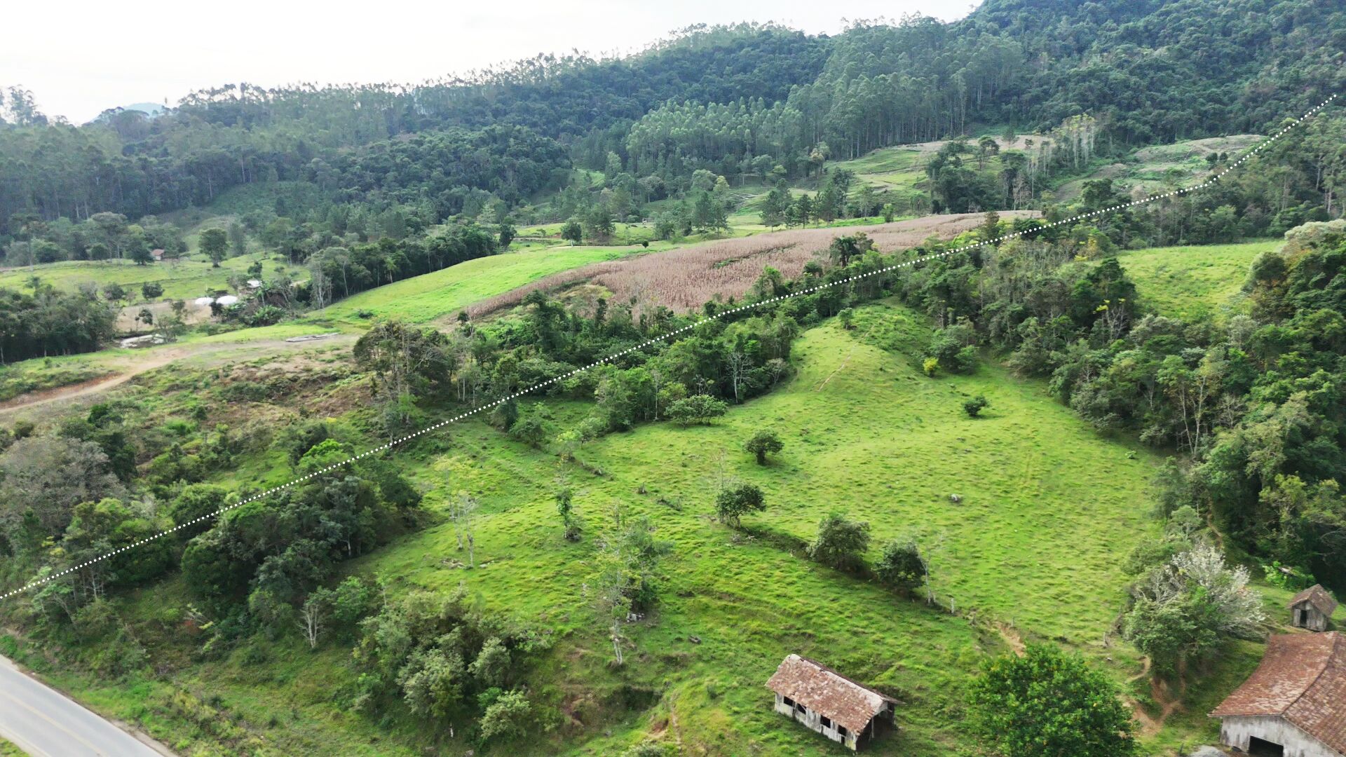 Sítio, 12 hectares - Foto 3