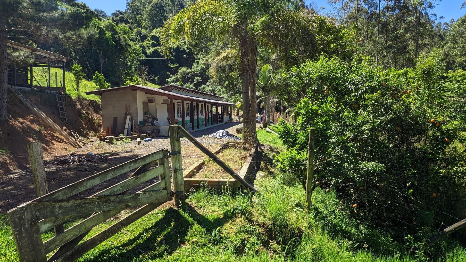 Sítio, 5 quartos, 4 hectares - Foto 23