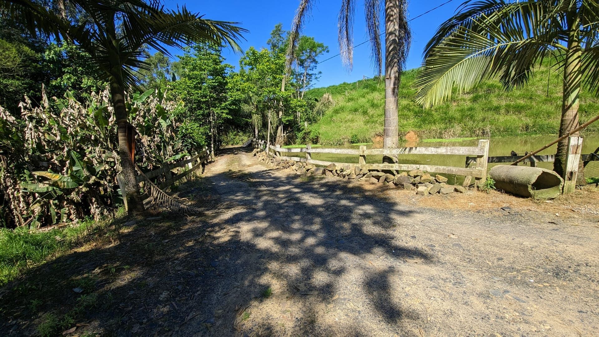 Sítio, 5 quartos, 4 hectares - Foto 18