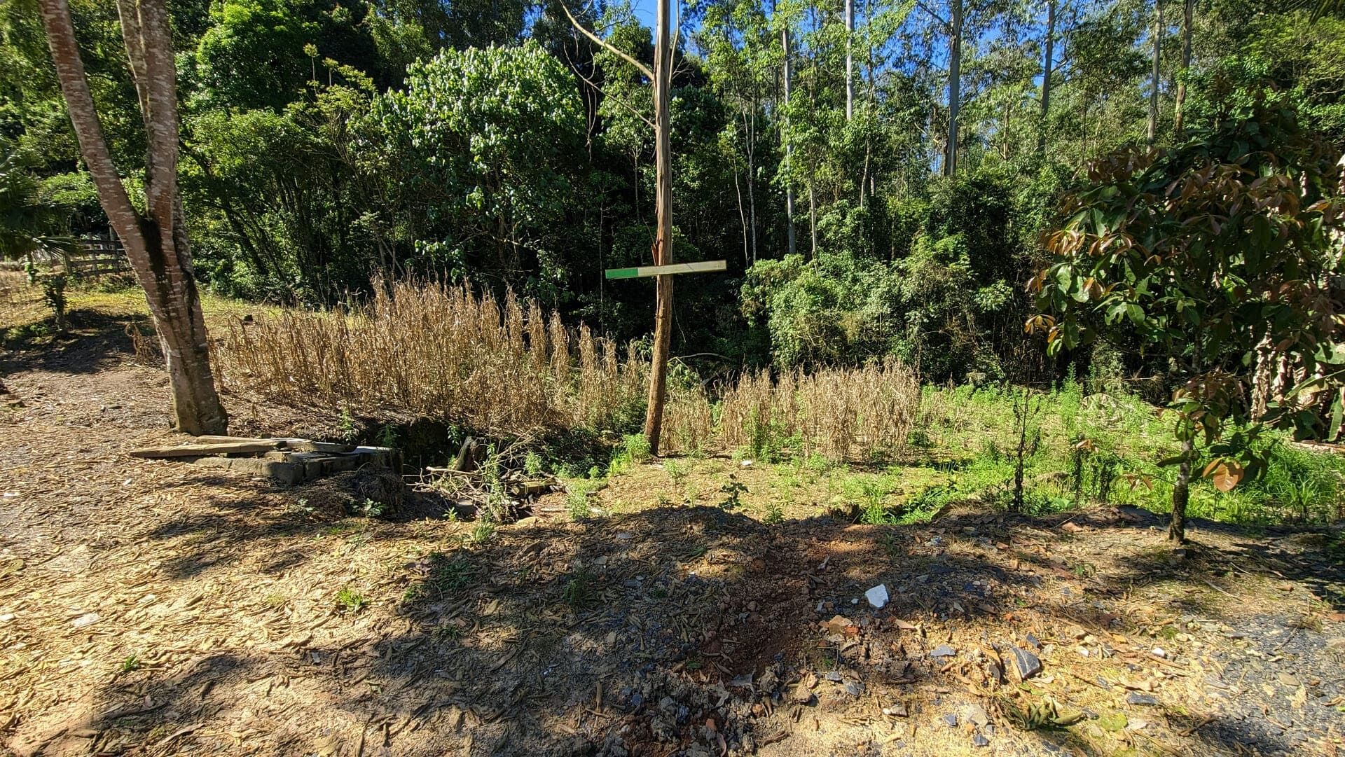 Sítio, 5 quartos, 4 hectares - Foto 17