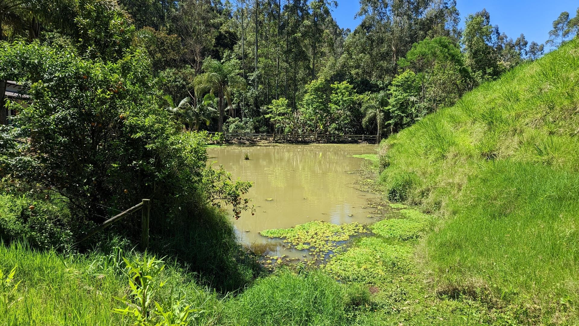 Sítio, 5 quartos, 4 hectares - Foto 24