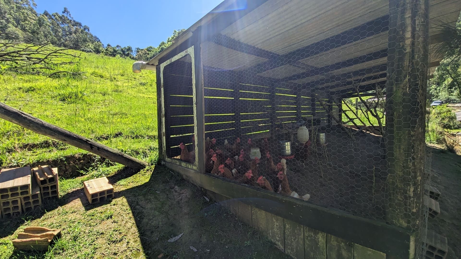 Sítio, 5 quartos, 4 hectares - Foto 10