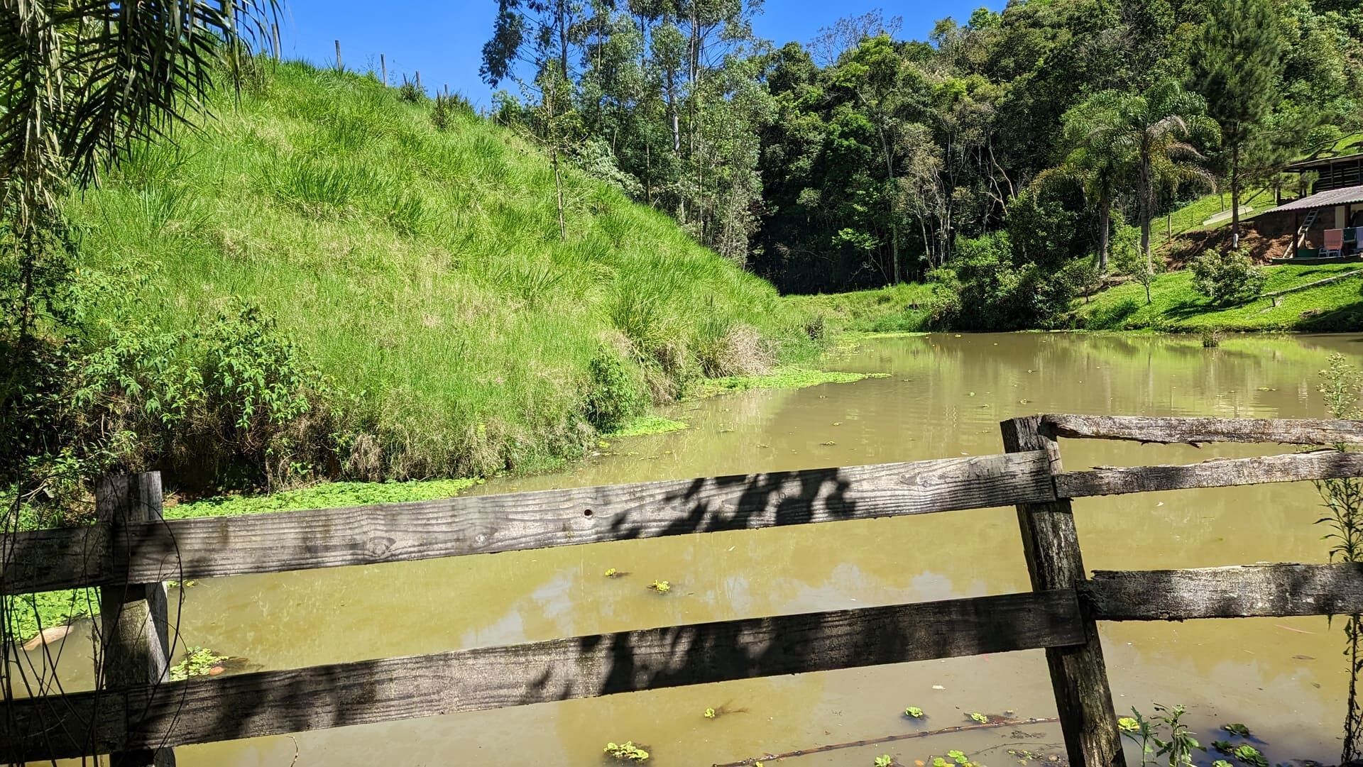 Sítio, 5 quartos, 4 hectares - Foto 13