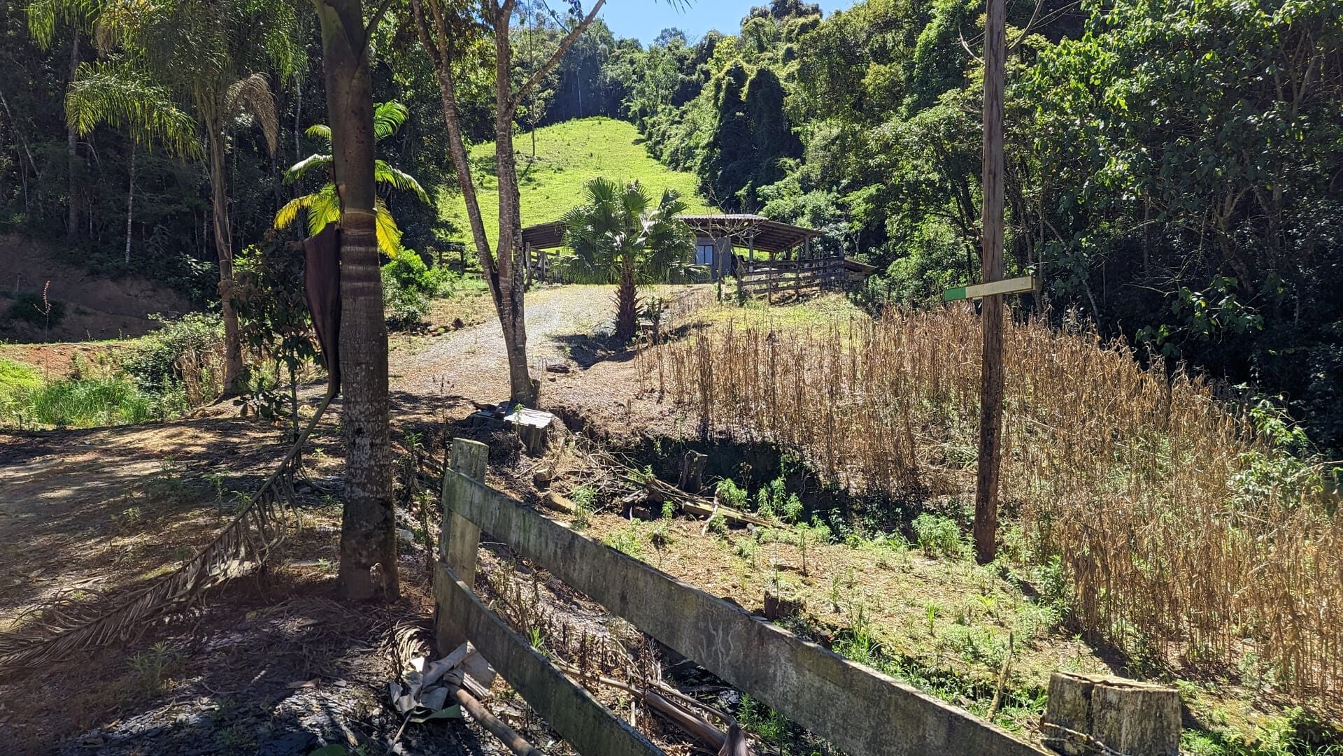 Sítio, 5 quartos, 4 hectares - Foto 14