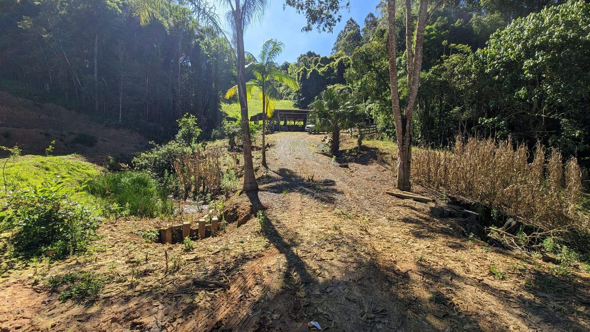 Sítio, 5 quartos, 4 hectares - Foto 9