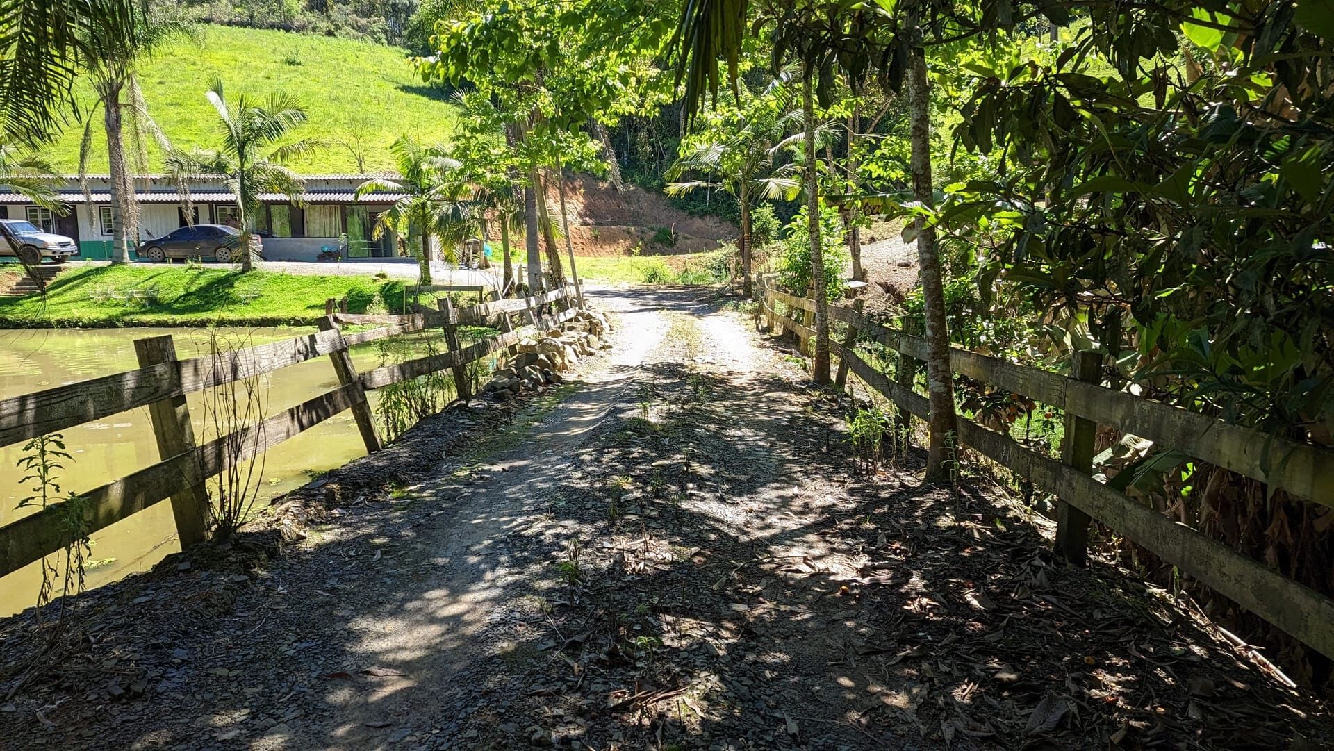 Sítio, 5 quartos, 4 hectares - Foto 12