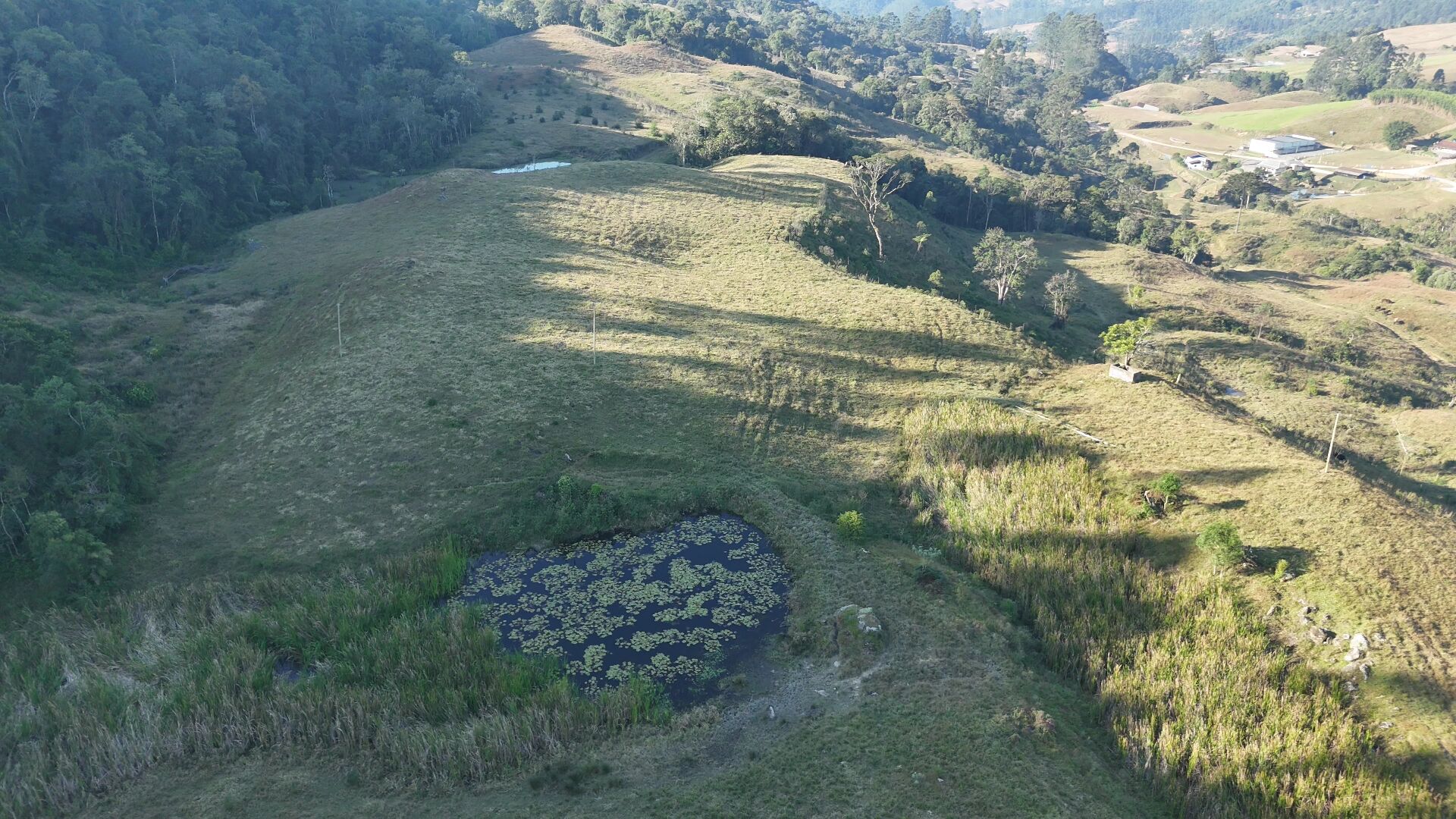 Terreno, 42 hectares - Foto 2