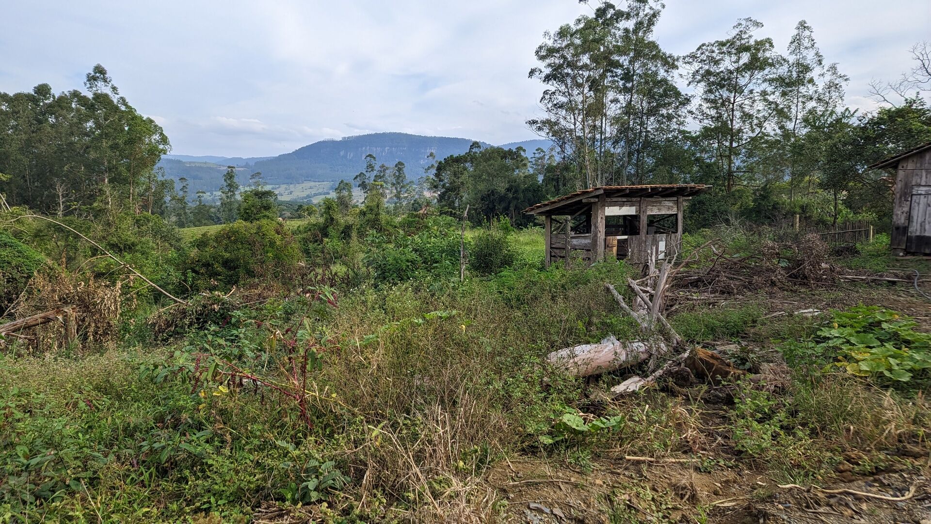 Sítio, 17 hectares - Foto 24