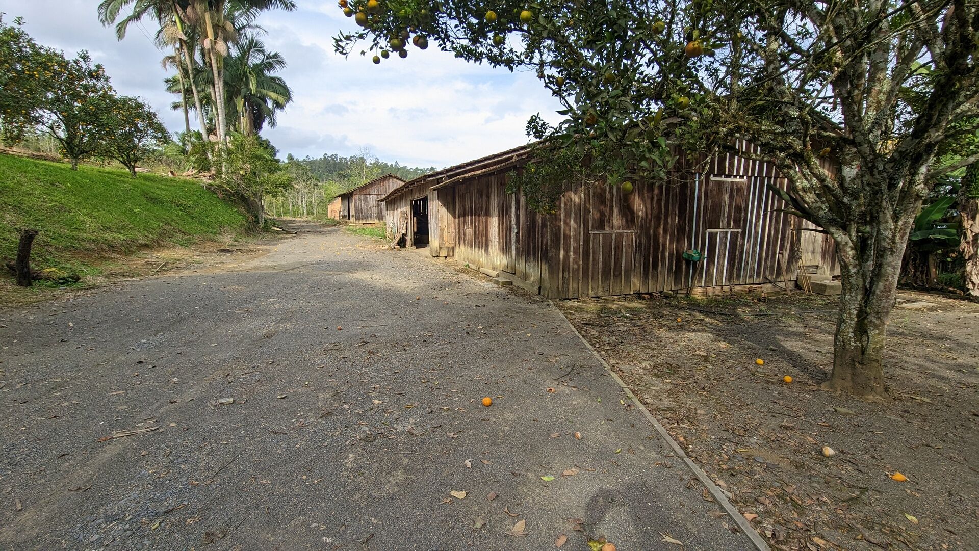 Sítio, 17 hectares - Foto 9