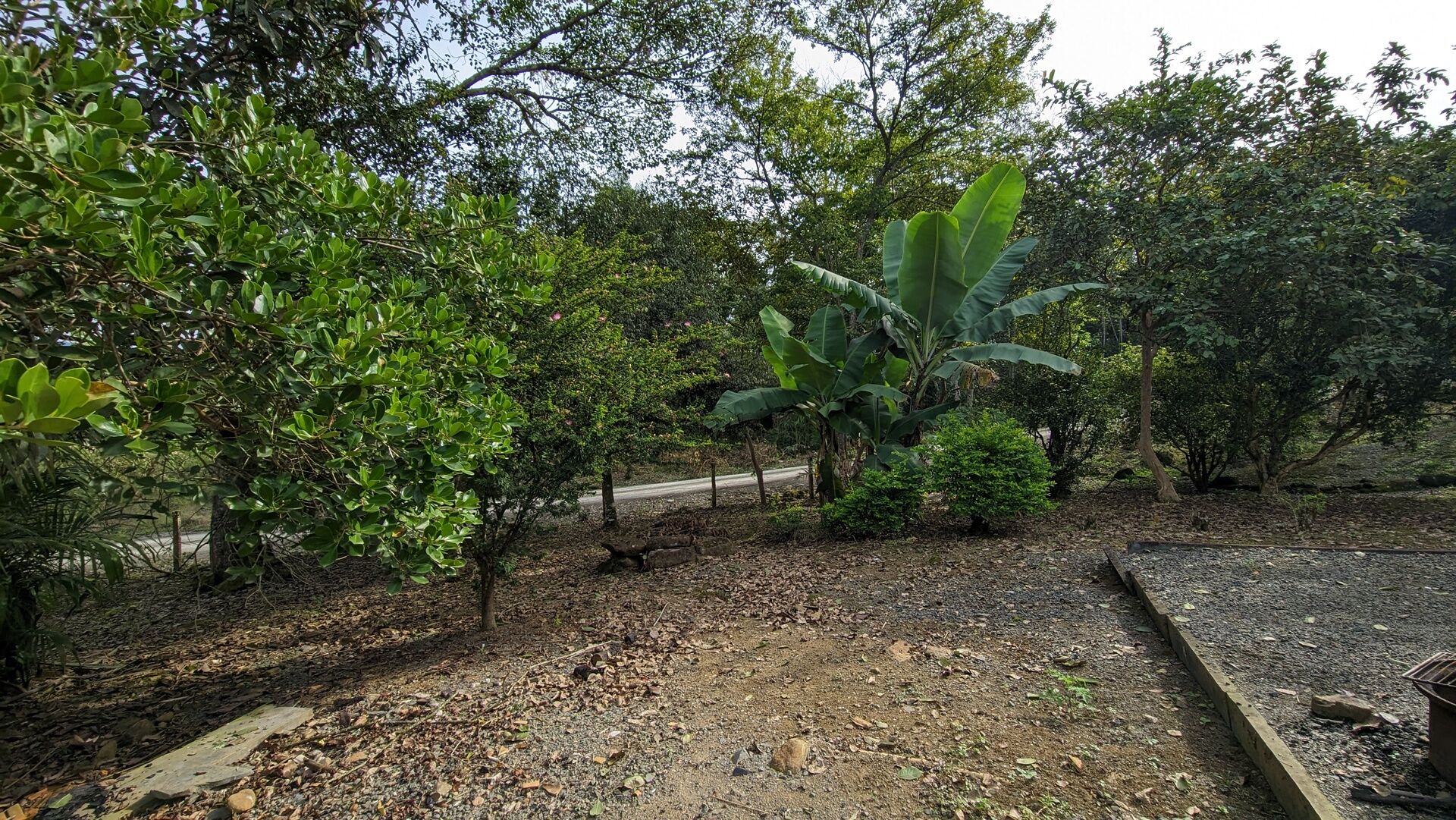 Sítio, 17 hectares - Foto 22