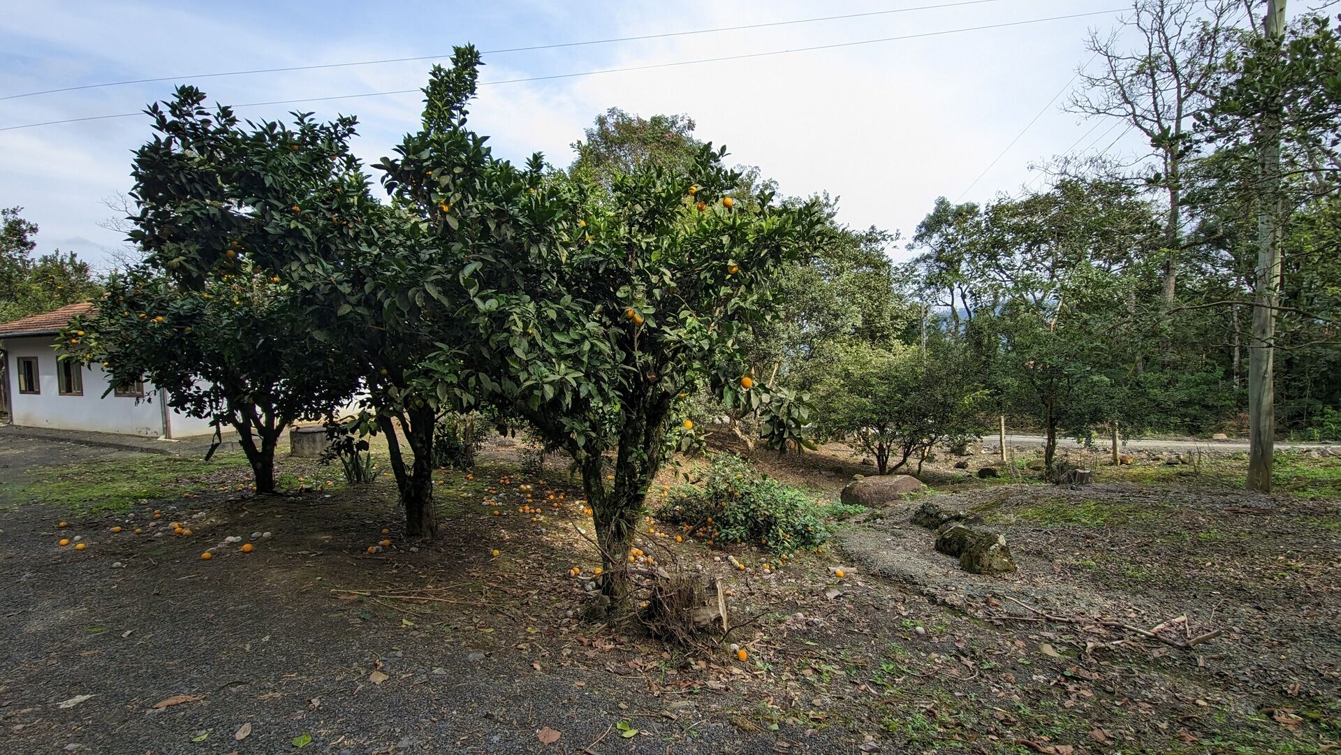 Sítio, 17 hectares - Foto 17