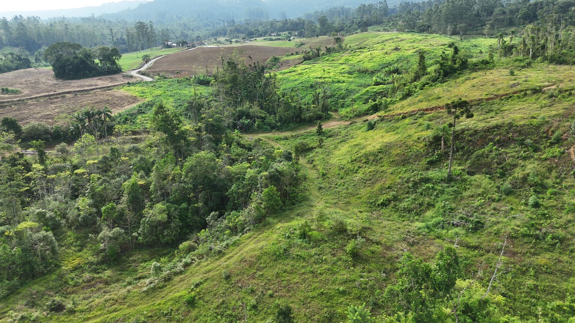 Sítio, 17 hectares - Foto 6