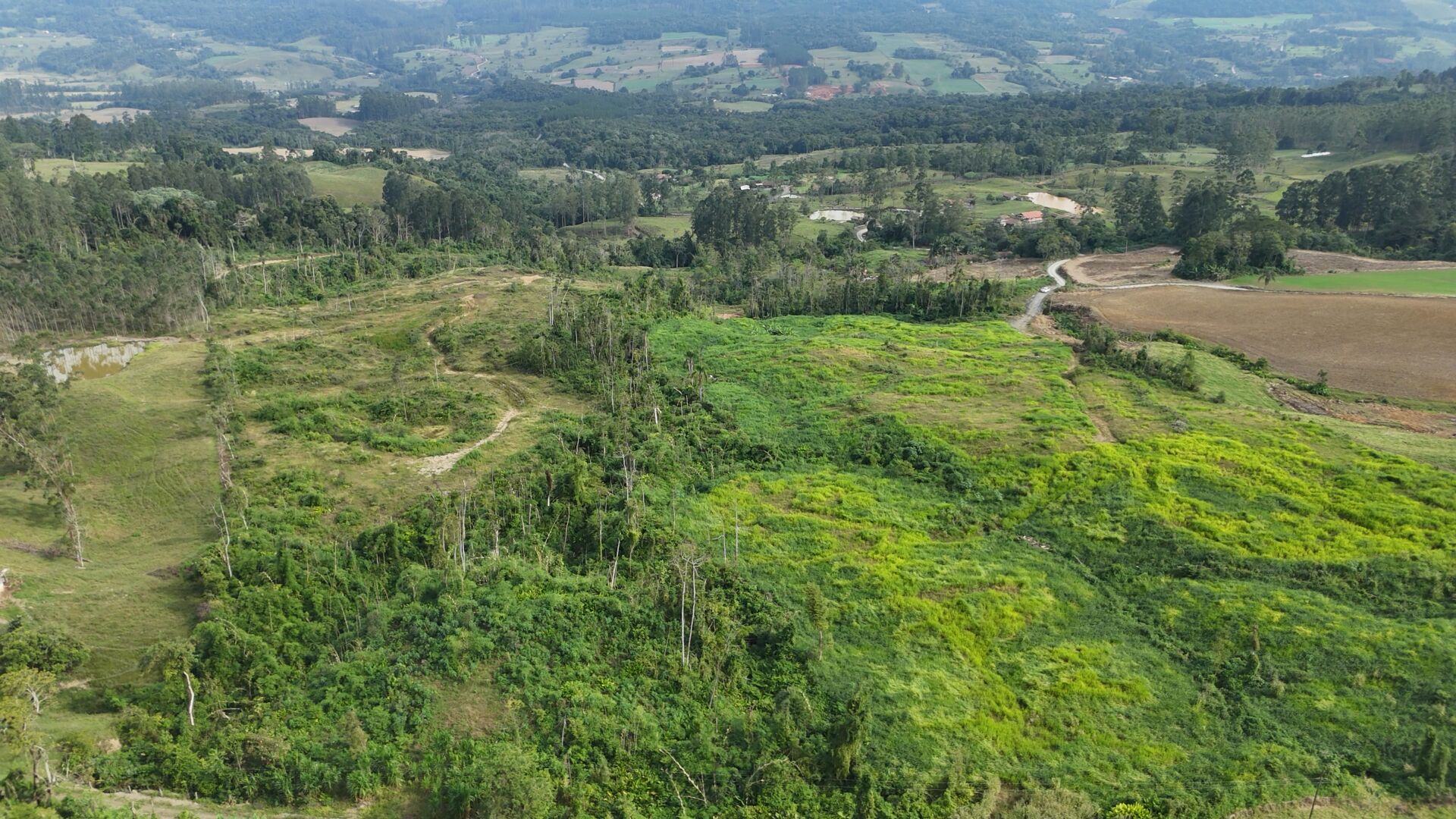 Sítio, 17 hectares - Foto 20