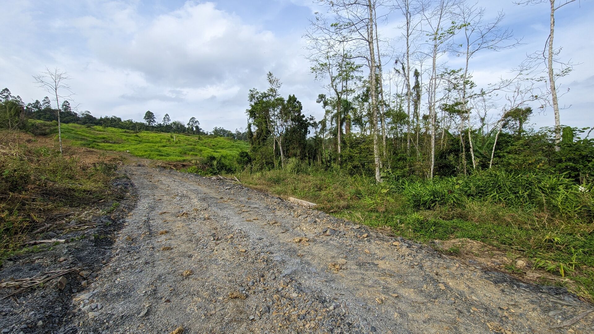 Sítio, 17 hectares - Foto 21