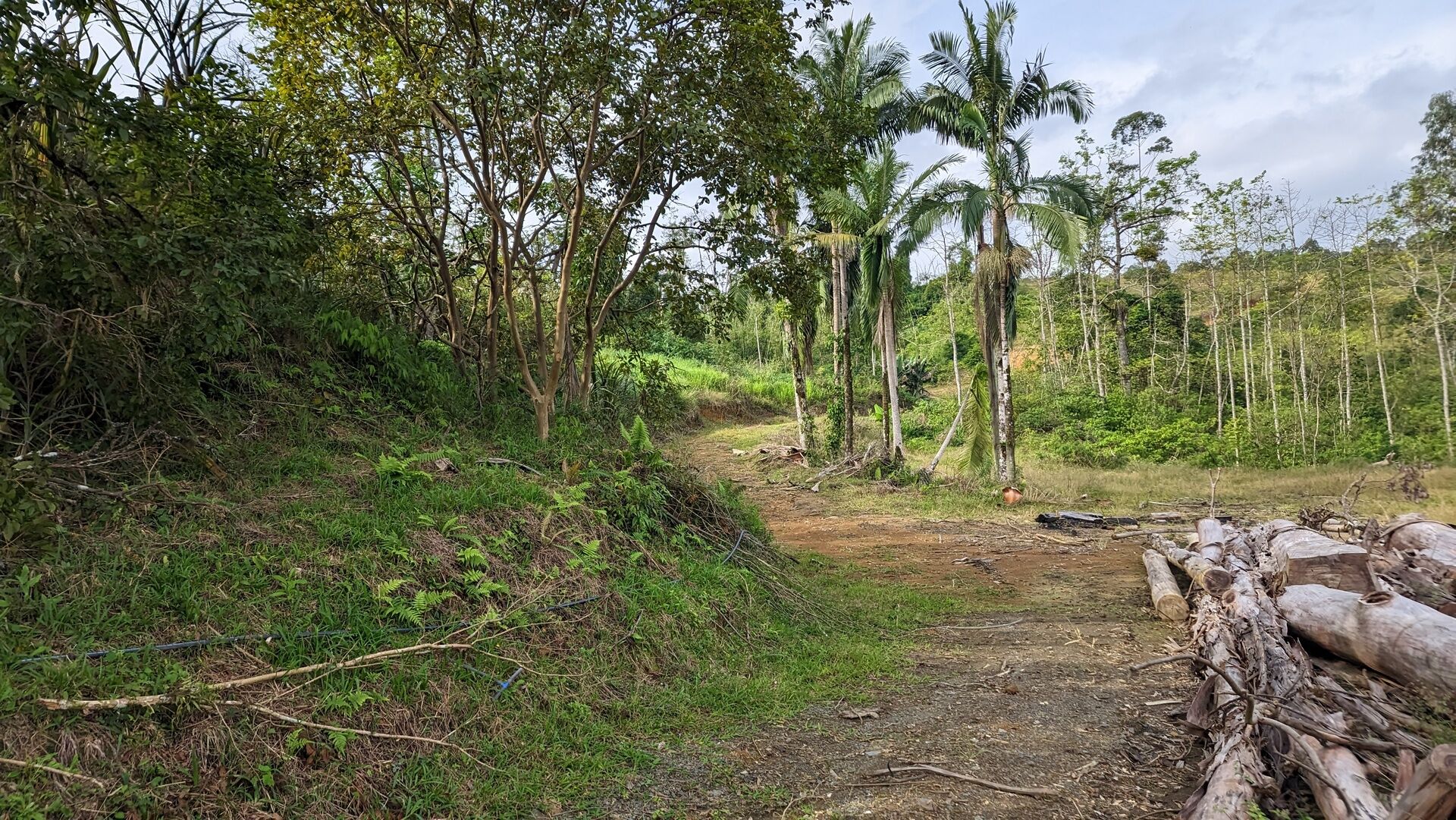 Sítio, 17 hectares - Foto 26