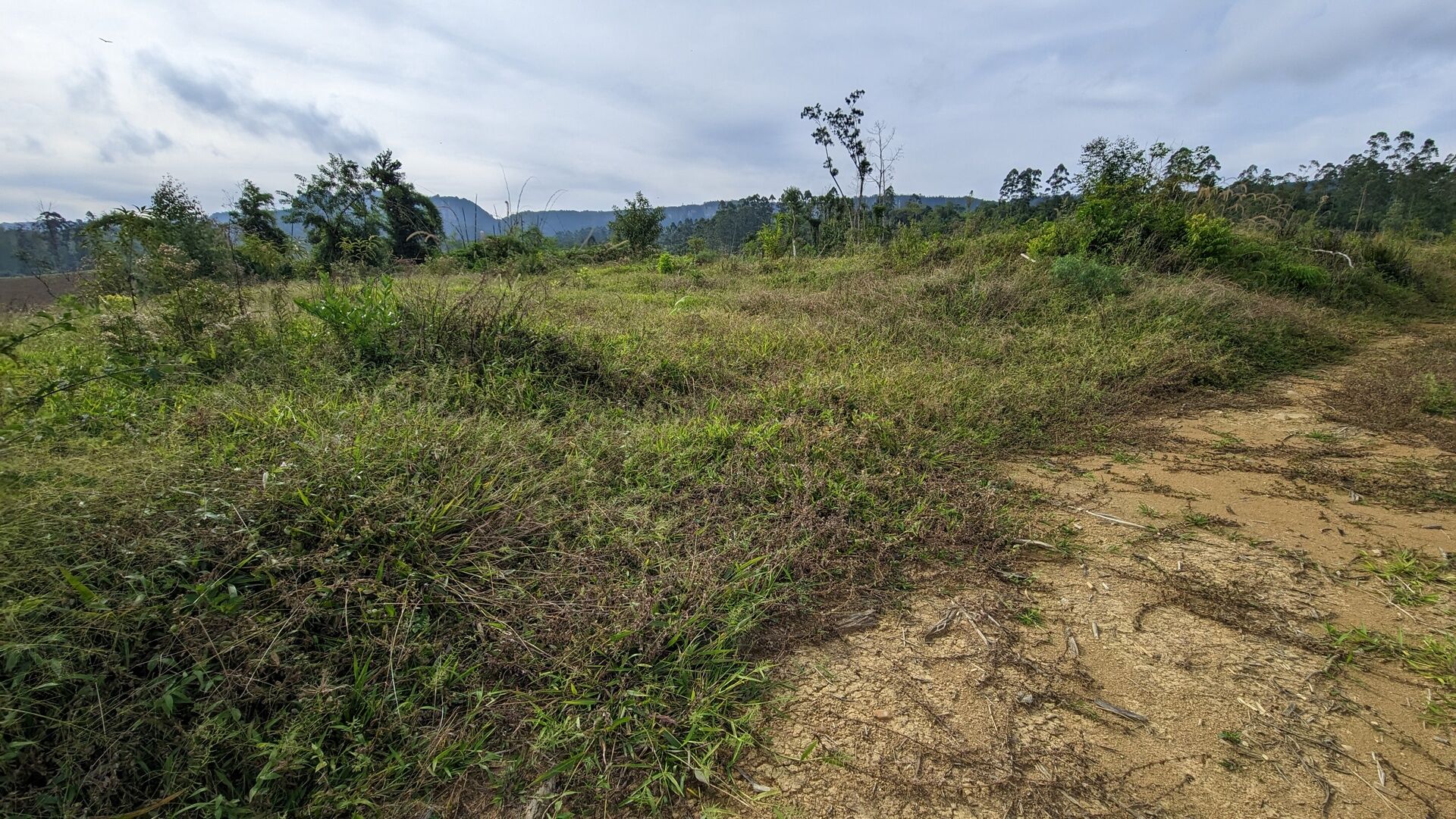 Sítio, 17 hectares - Foto 29