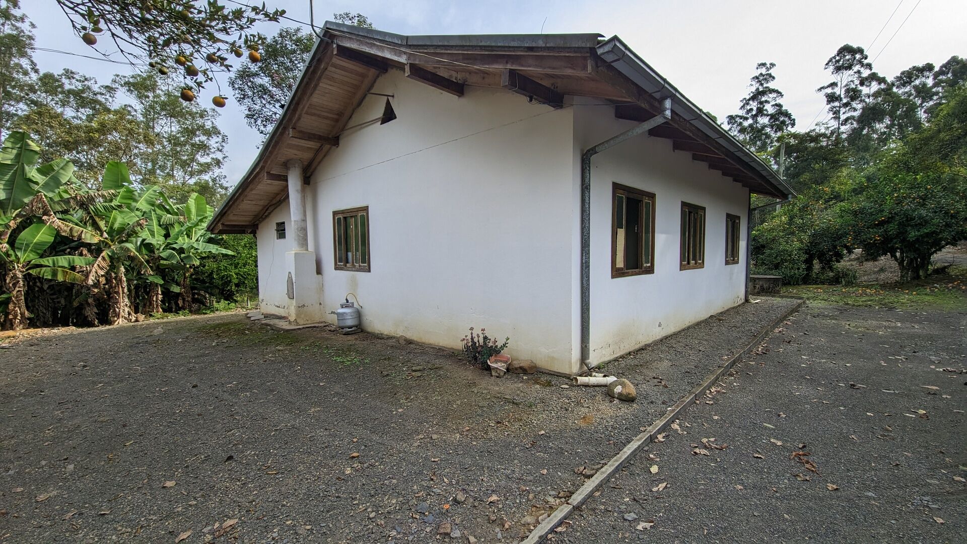 Sítio, 17 hectares - Foto 8