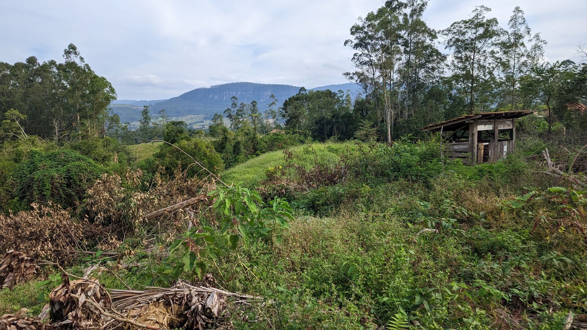 Sítio, 17 hectares - Foto 25