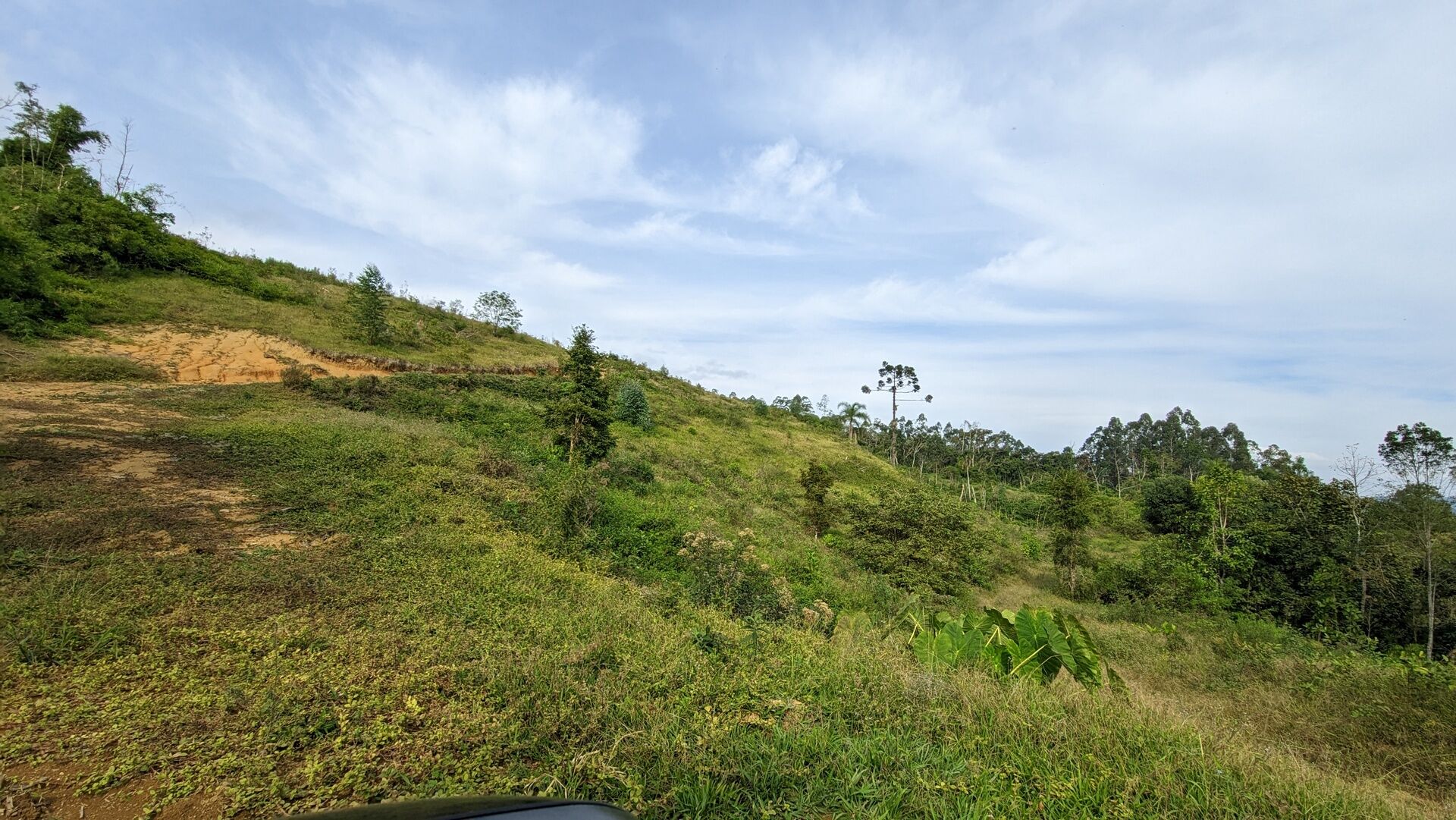 Sítio, 17 hectares - Foto 28