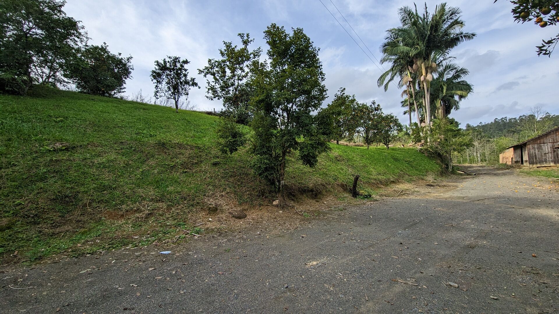 Sítio, 17 hectares - Foto 23