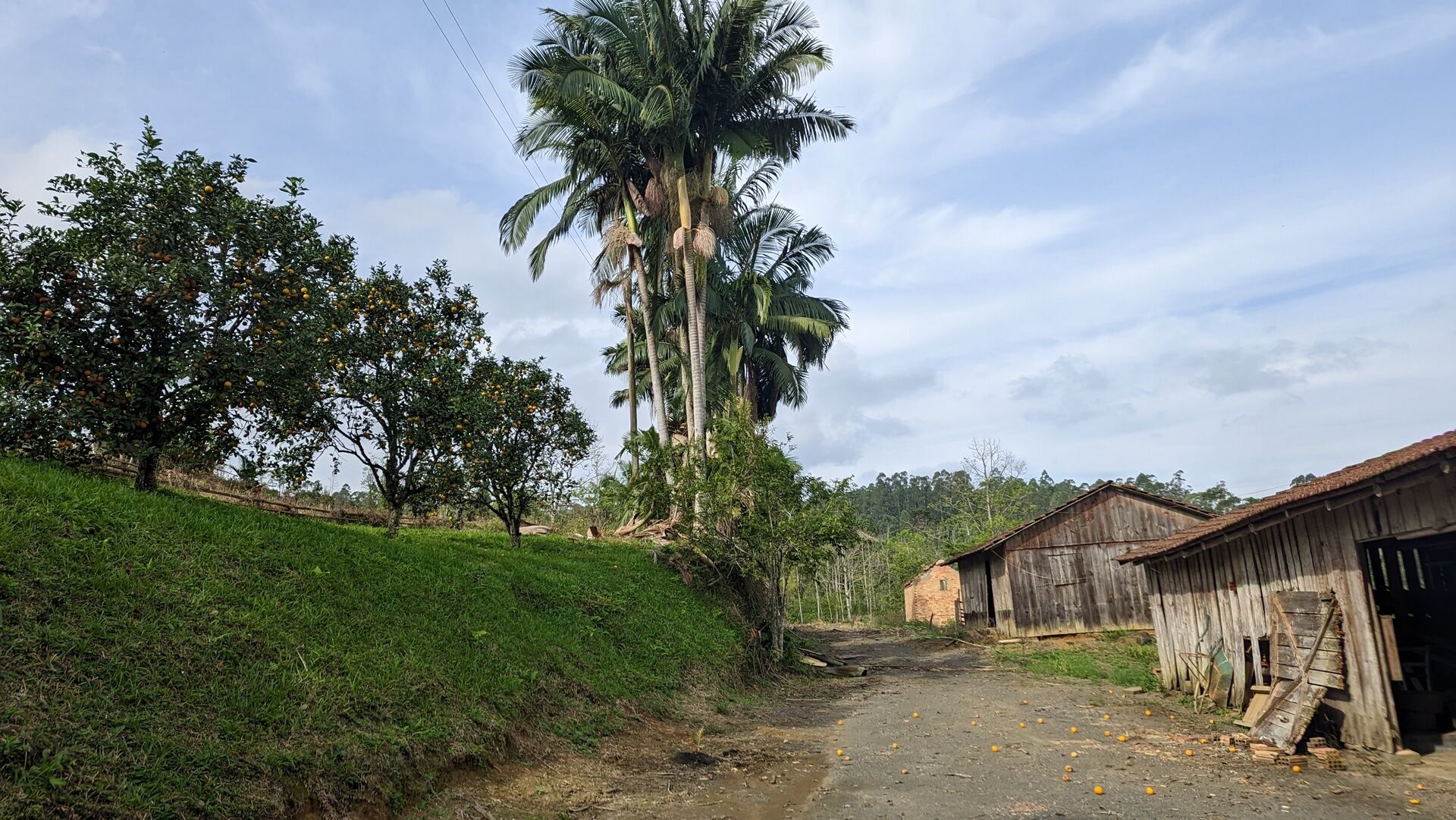 Sítio, 17 hectares - Foto 15