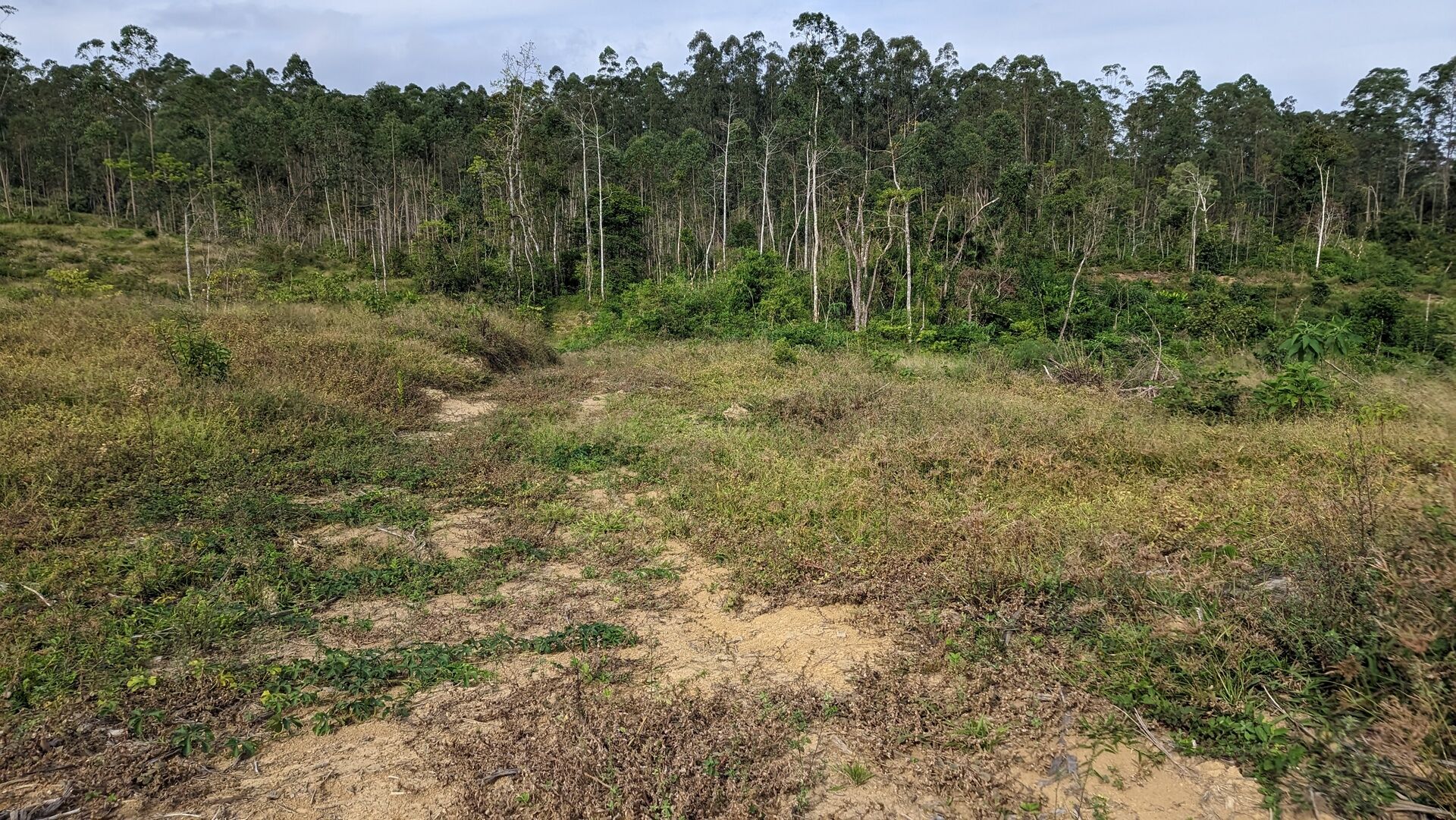 Sítio, 17 hectares - Foto 33