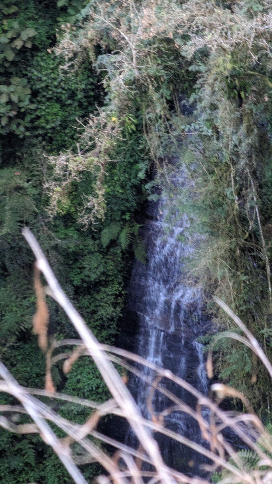 Fazenda à venda, 300m² - Foto 6