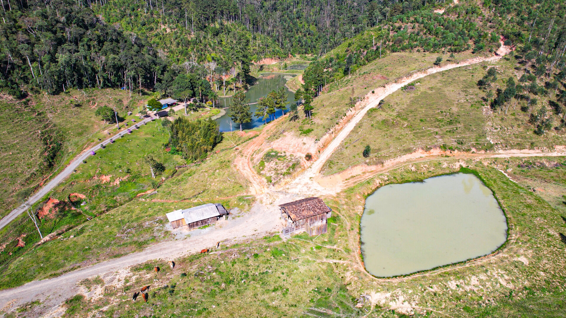 Fazenda à venda, 300m² - Foto 4