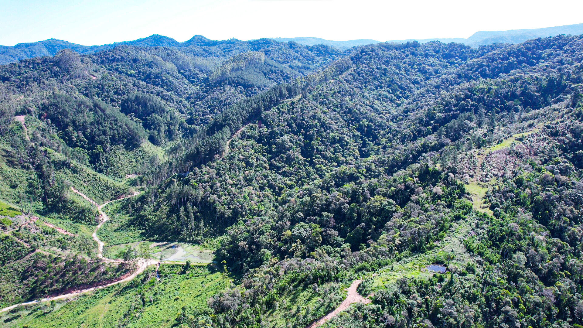 Fazenda à venda, 300m² - Foto 16