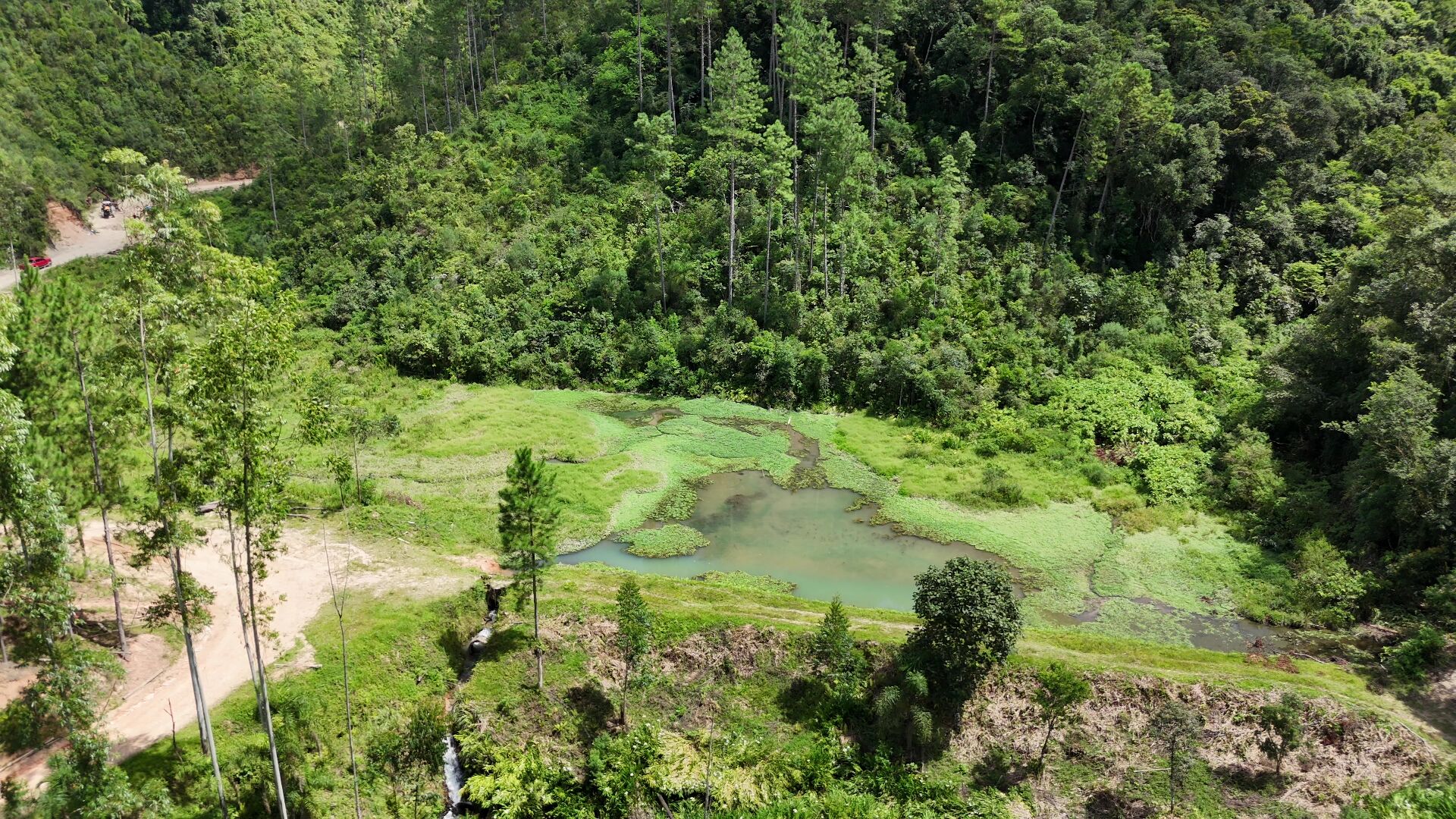 Fazenda à venda, 300m² - Foto 12
