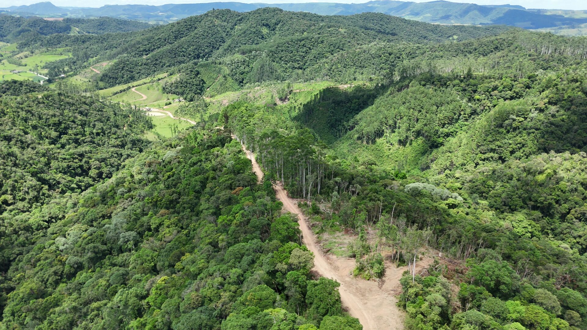 Fazenda à venda, 300m² - Foto 11