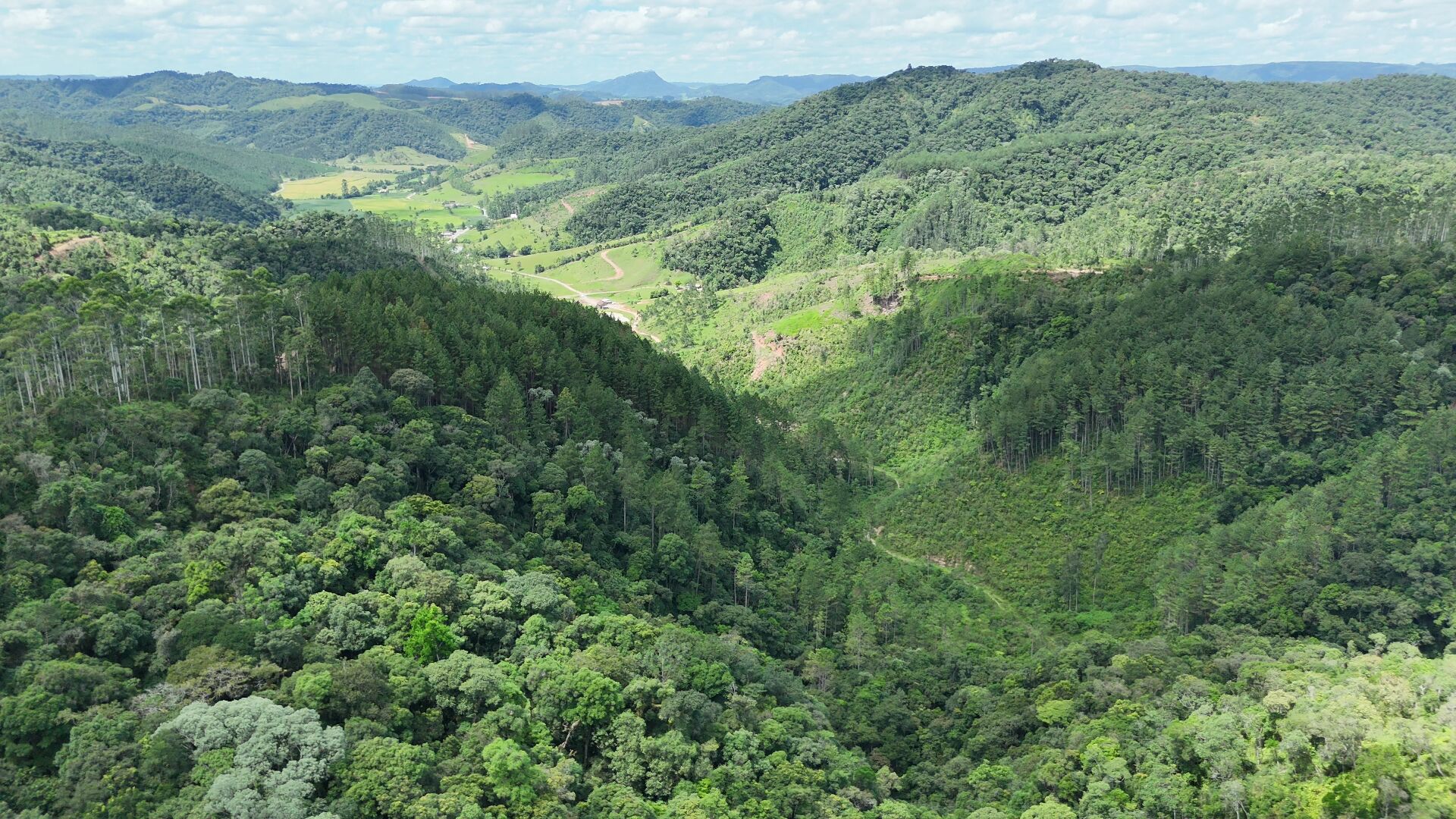 Fazenda à venda, 300m² - Foto 10