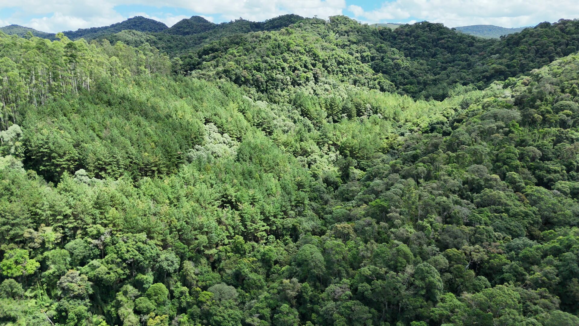 Fazenda à venda, 300m² - Foto 9