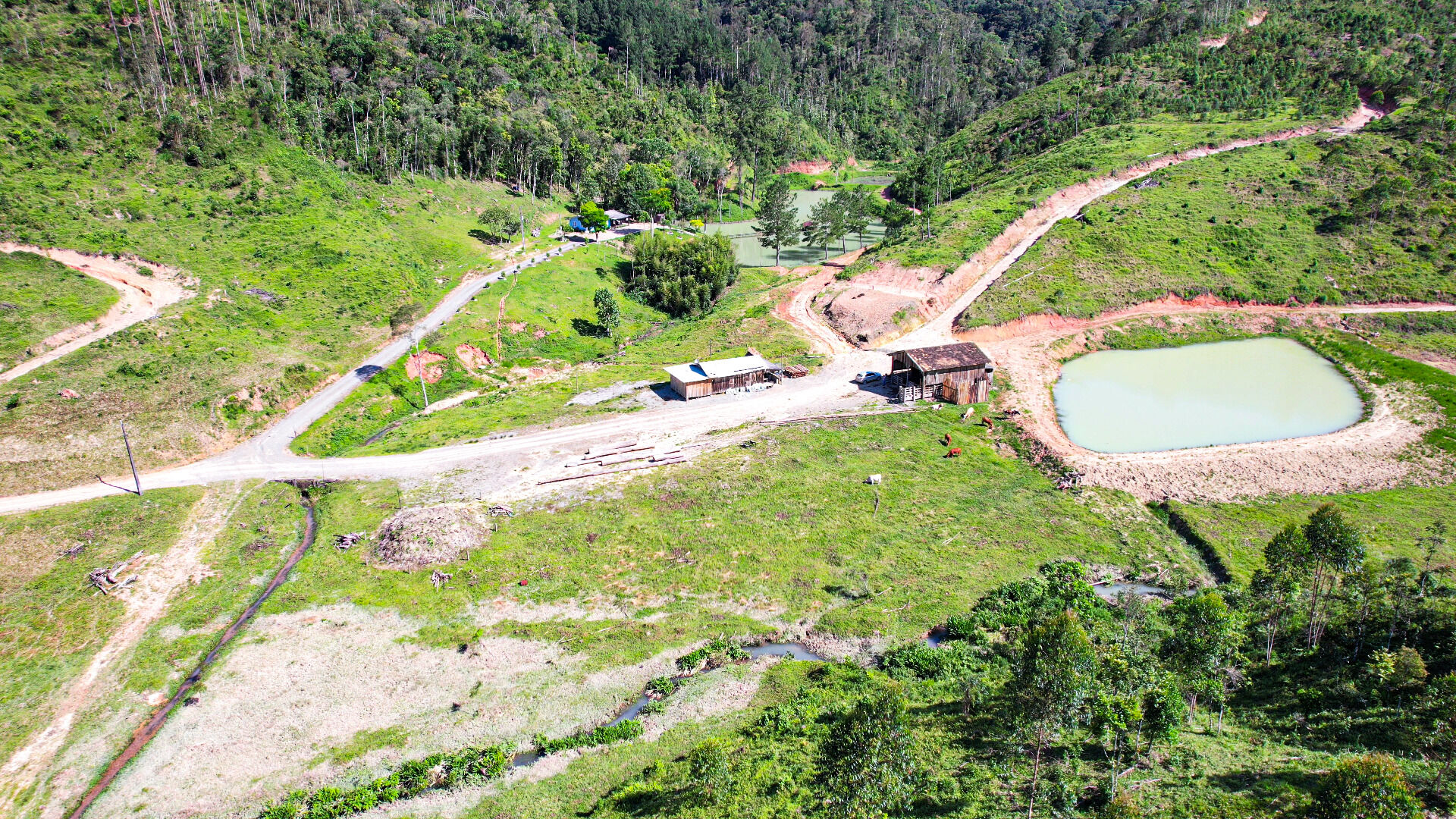 Fazenda à venda, 300m² - Foto 5