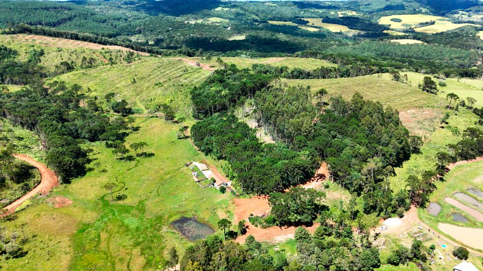Fazenda, 146 hectares - Foto 2