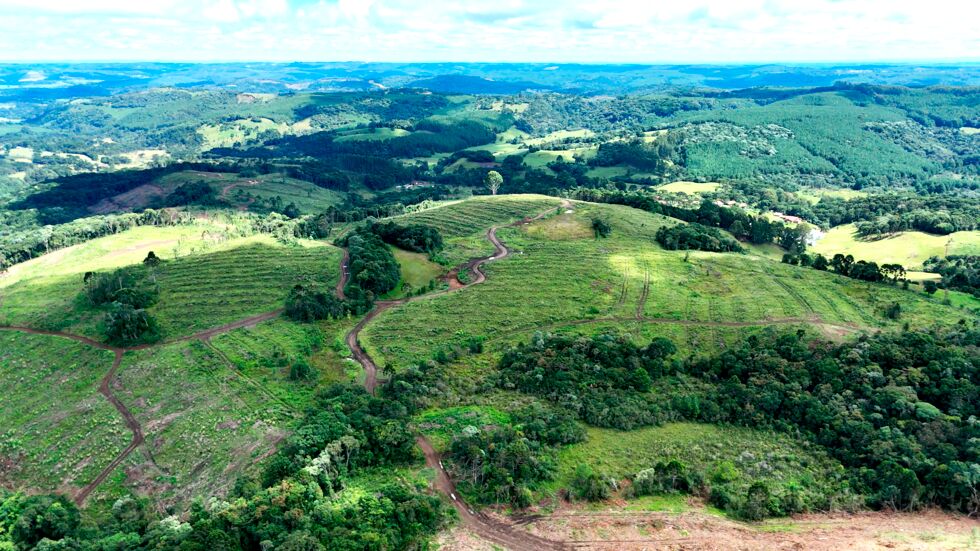 Fazenda, 146 hectares - Foto 8