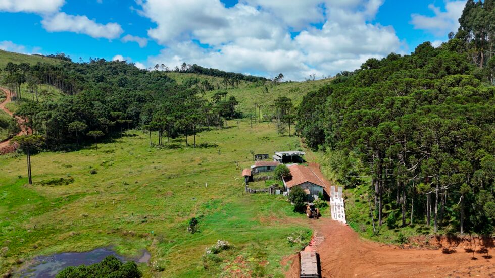 Fazenda, 146 hectares - Foto 7