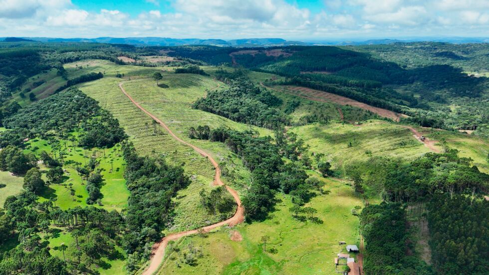 Fazenda, 146 hectares - Foto 5