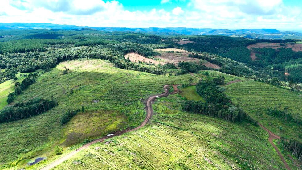 Fazenda, 146 hectares - Foto 1