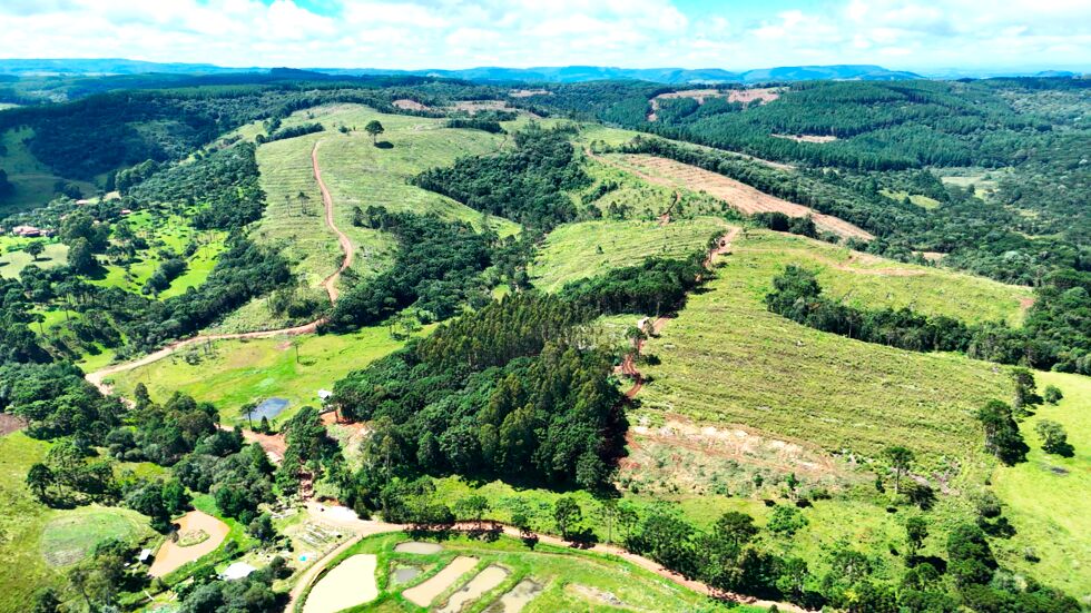 Fazenda, 146 hectares - Foto 4