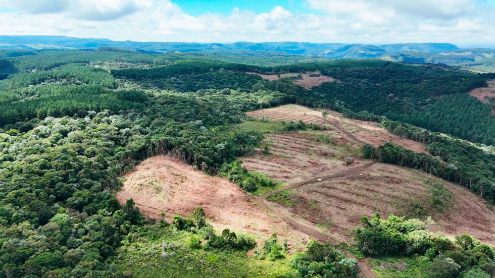 Fazenda, 146 hectares - Foto 9