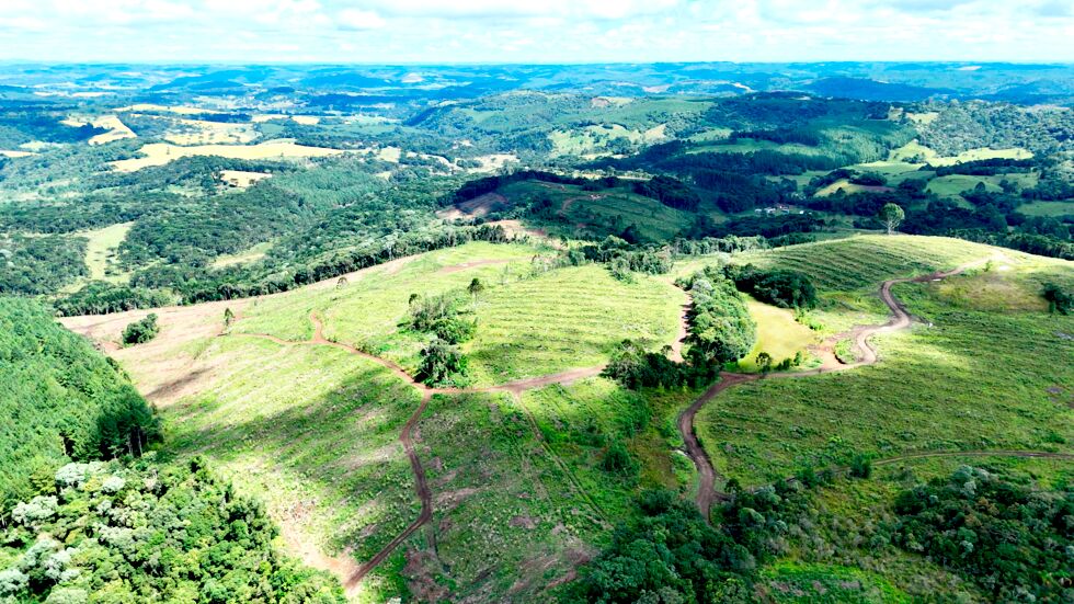 Fazenda, 146 hectares - Foto 3