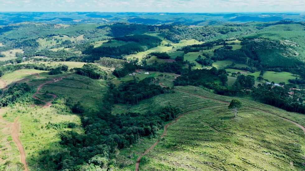 Fazenda, 146 hectares - Foto 6